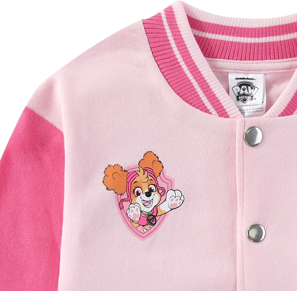Paw Patrol Skye Girls Letterman Varsity Bomber Jacket for Toddler Big Kids